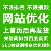 必应优化关键词纯白帽技术自然排名首页谷歌bing网站收录SEO推广